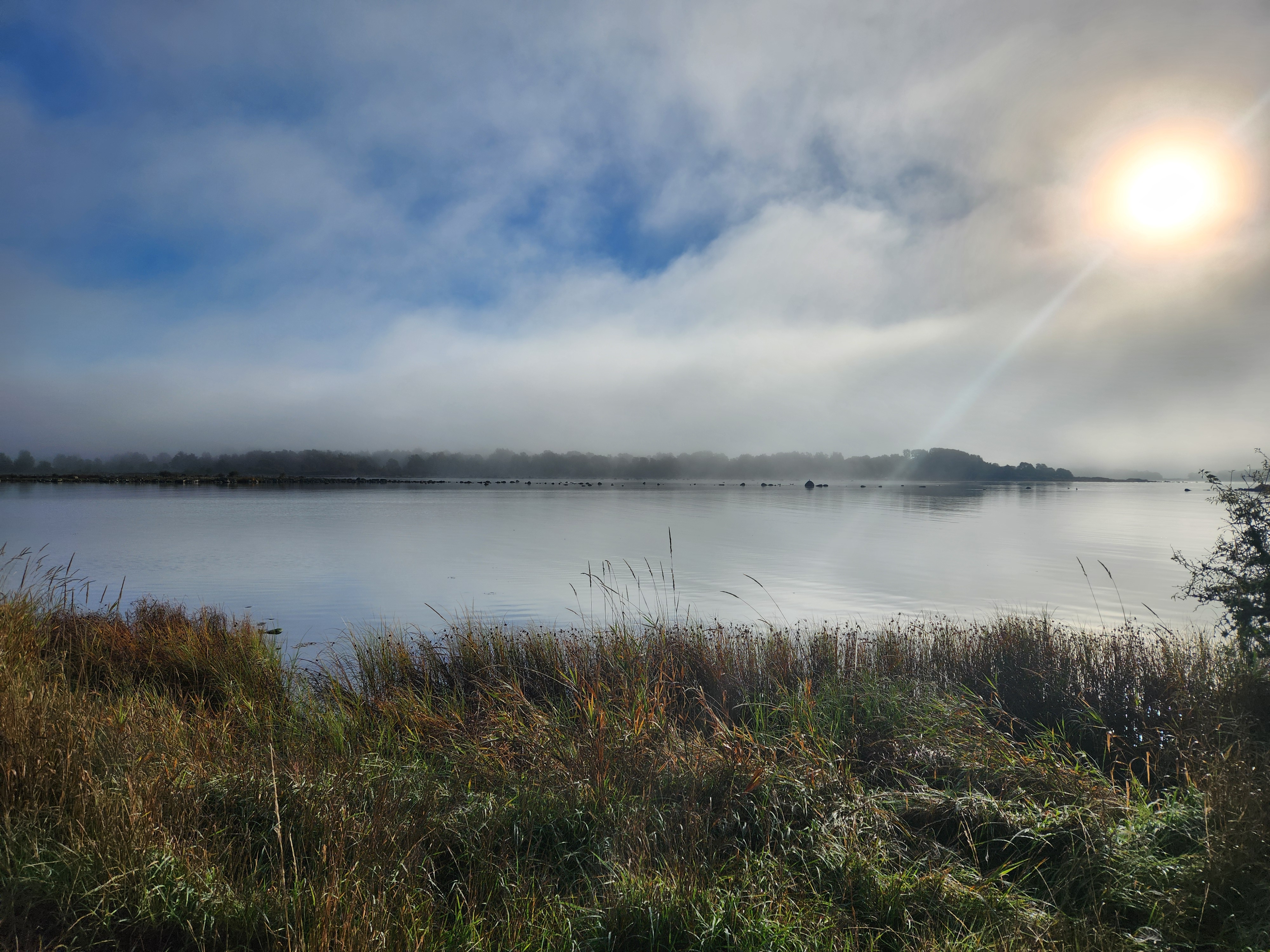 Morning mist over still water as the sun breaks through the clouds, with reeds along the shore
