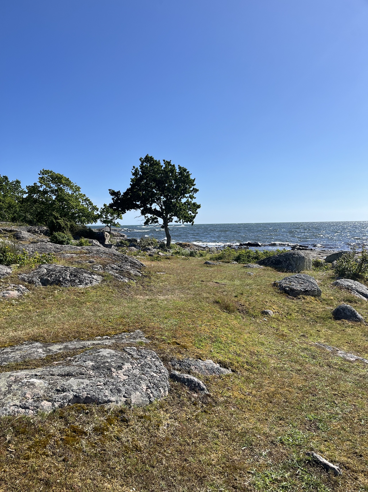 Rocky Blekinge coastline with trees along the water