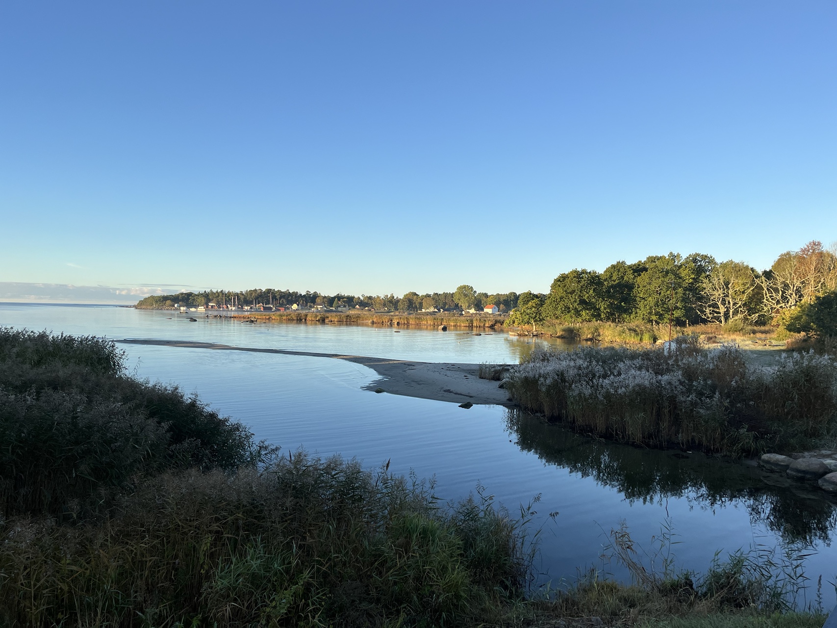 View across a calm bay toward a wooded shoreline