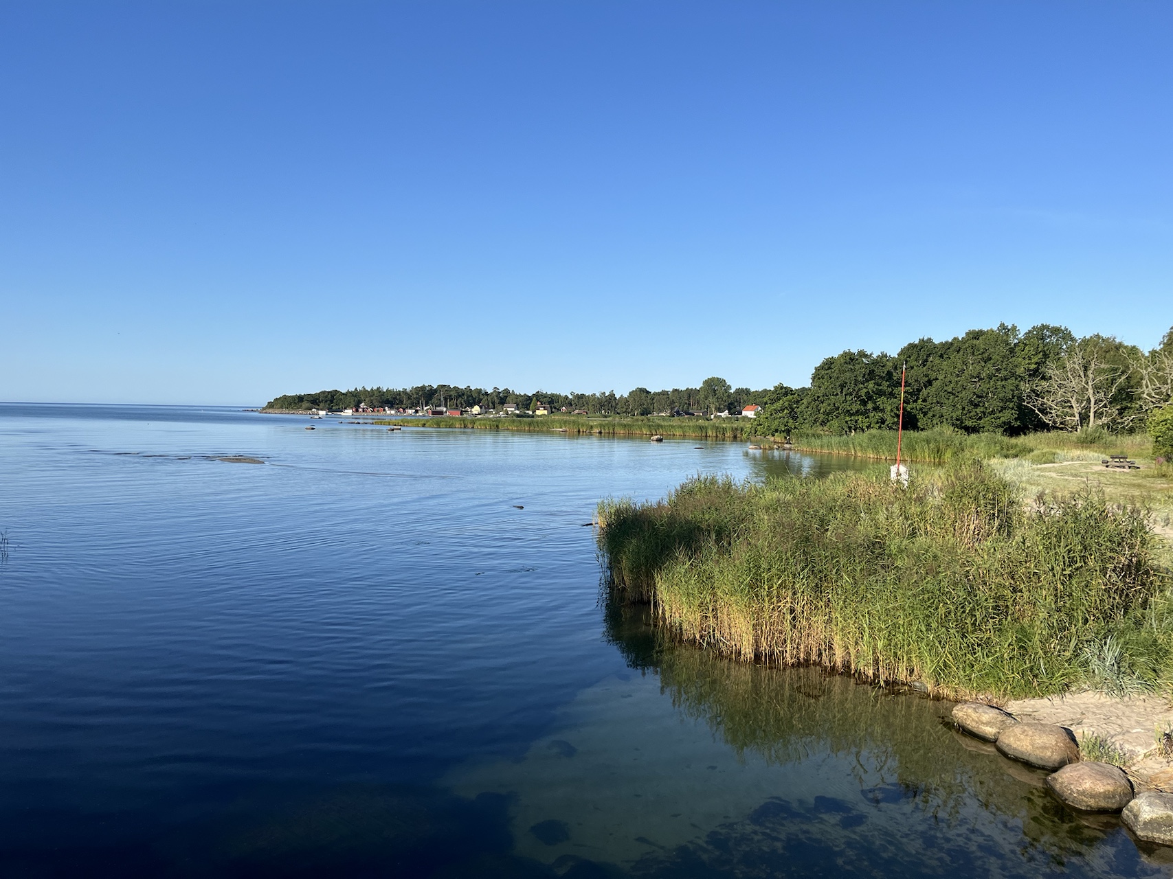 Blue inlet bordered by reeds and a green shoreline