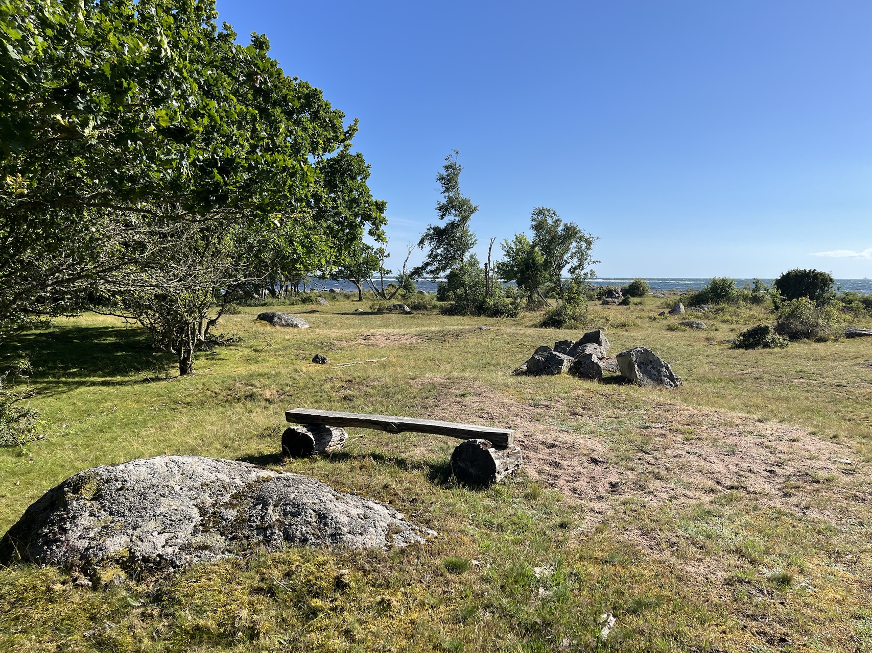 Open rocky coastal landscape with small deciduous trees, grasses and a simple bench