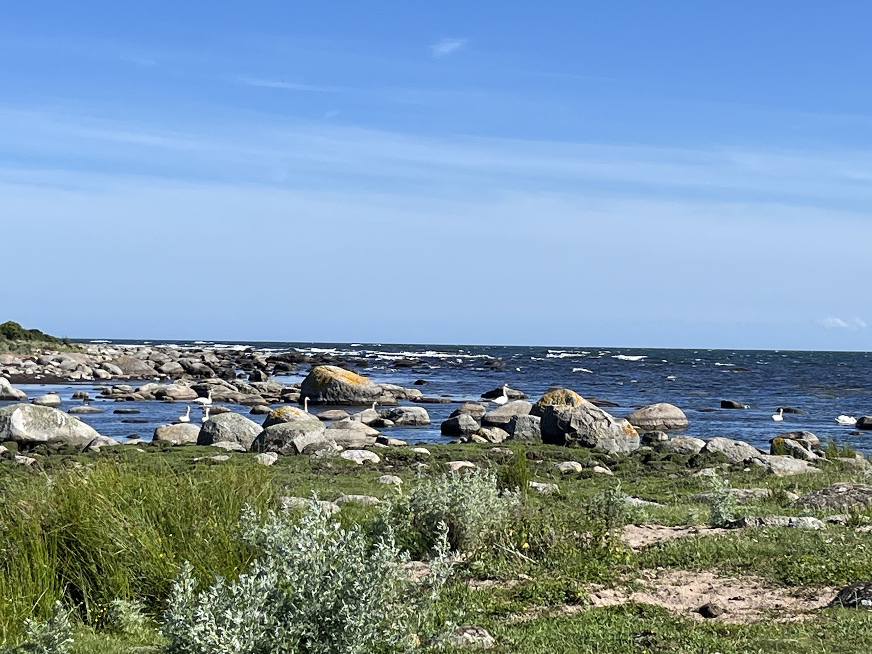 Rugged shoreline with smooth rocks and blue sea